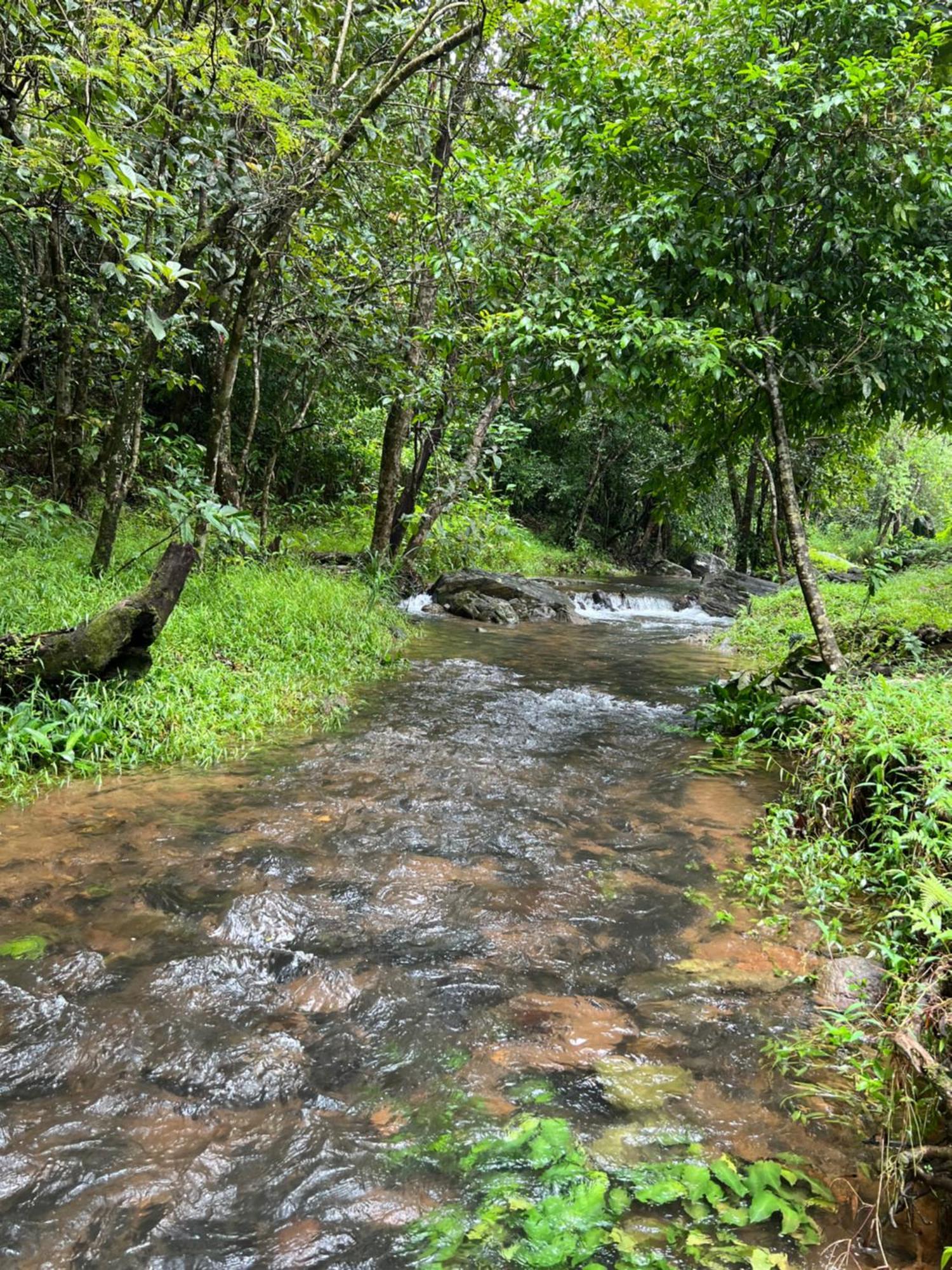 Abad Brookside Wayanad Hotel Vythiri Exterior foto